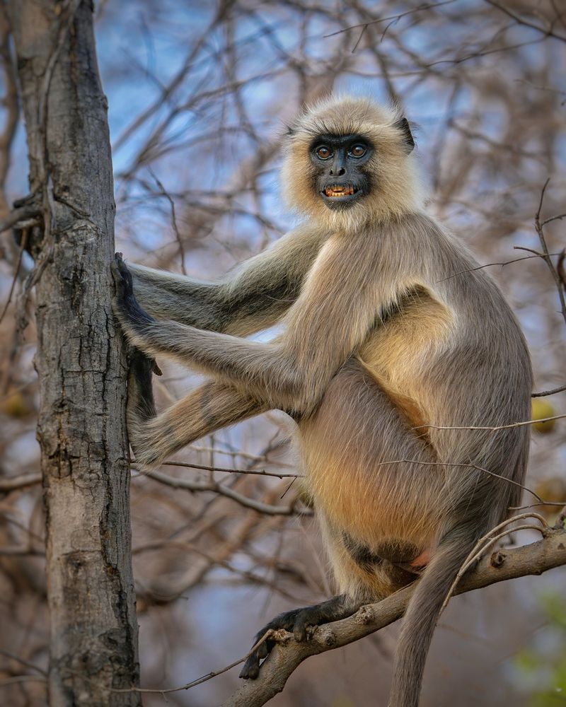 Photograph by mahadevan Arige