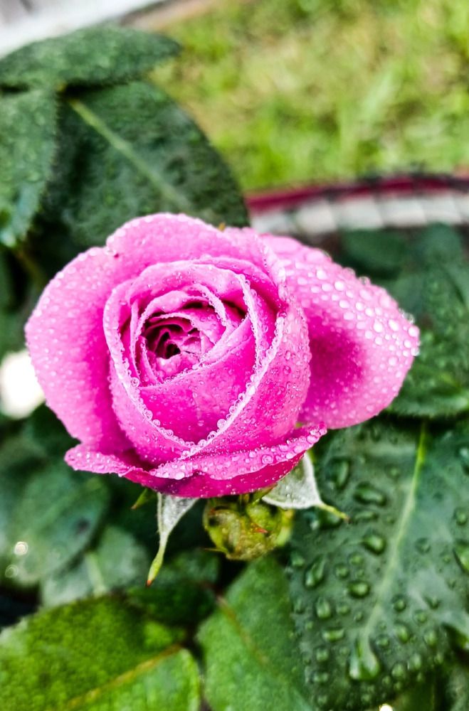 Фотография автора Джаф