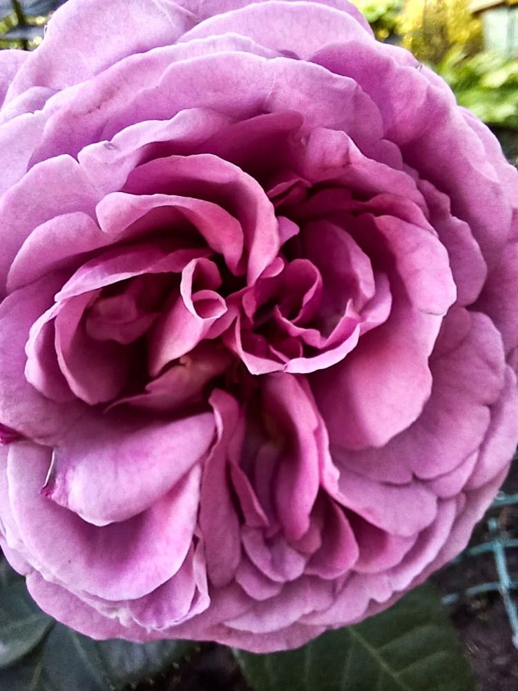 Фотография автора Джаф