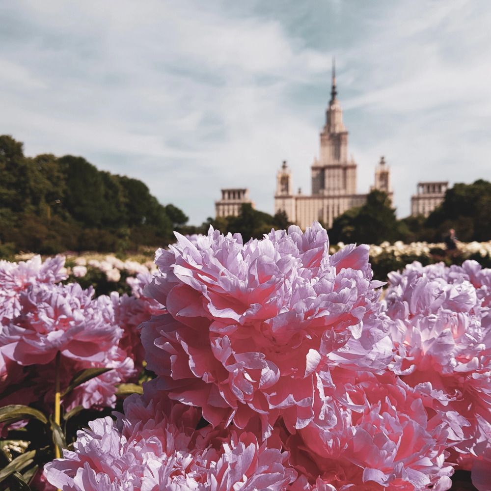 Фотография автора Джаф