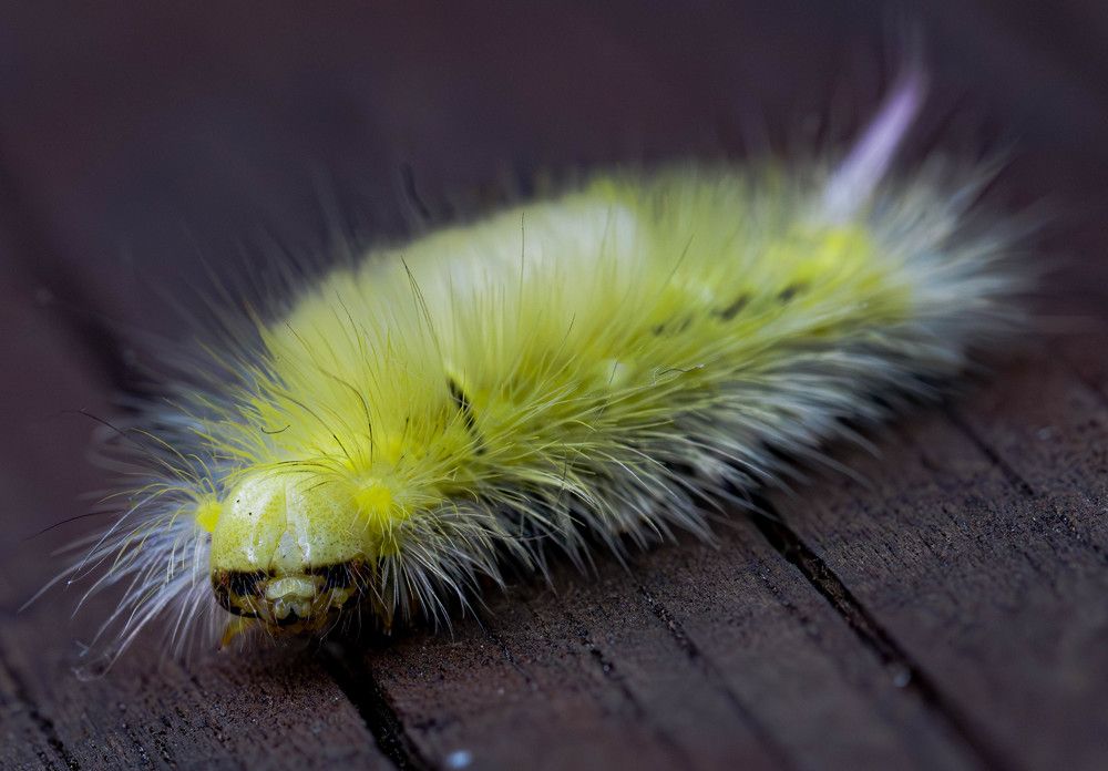 Photograph by Денис Гуляев