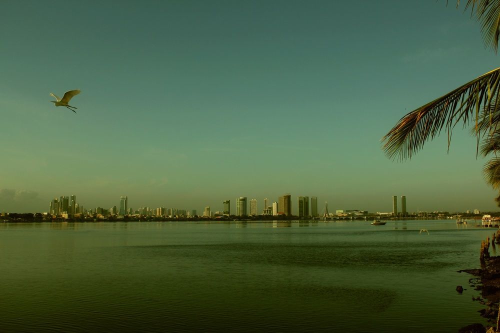 Photograph by CRINALDO REIS