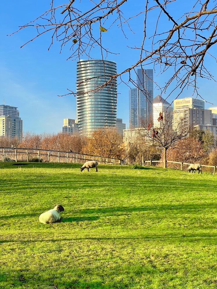 Photograph by Alina Yantsen