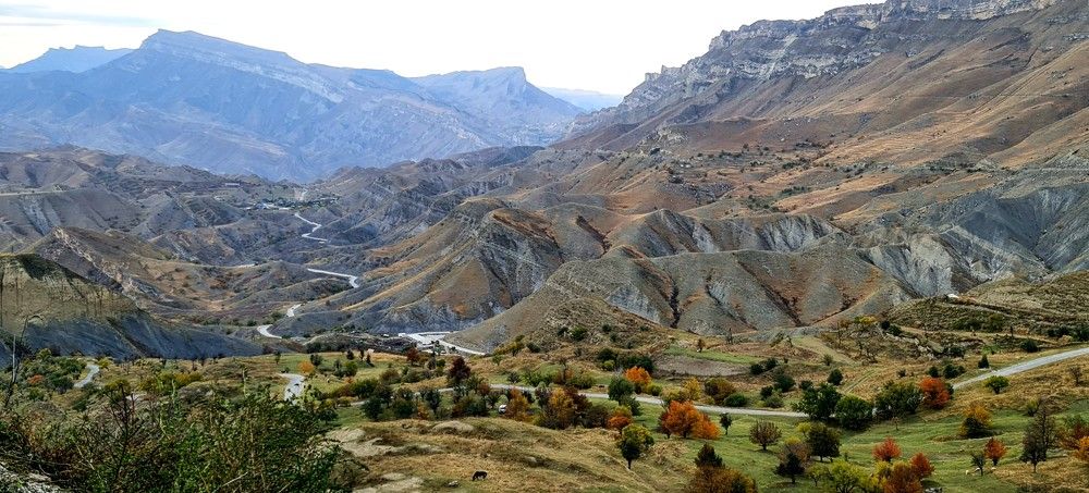 Фотография автора Наталья Владимировна