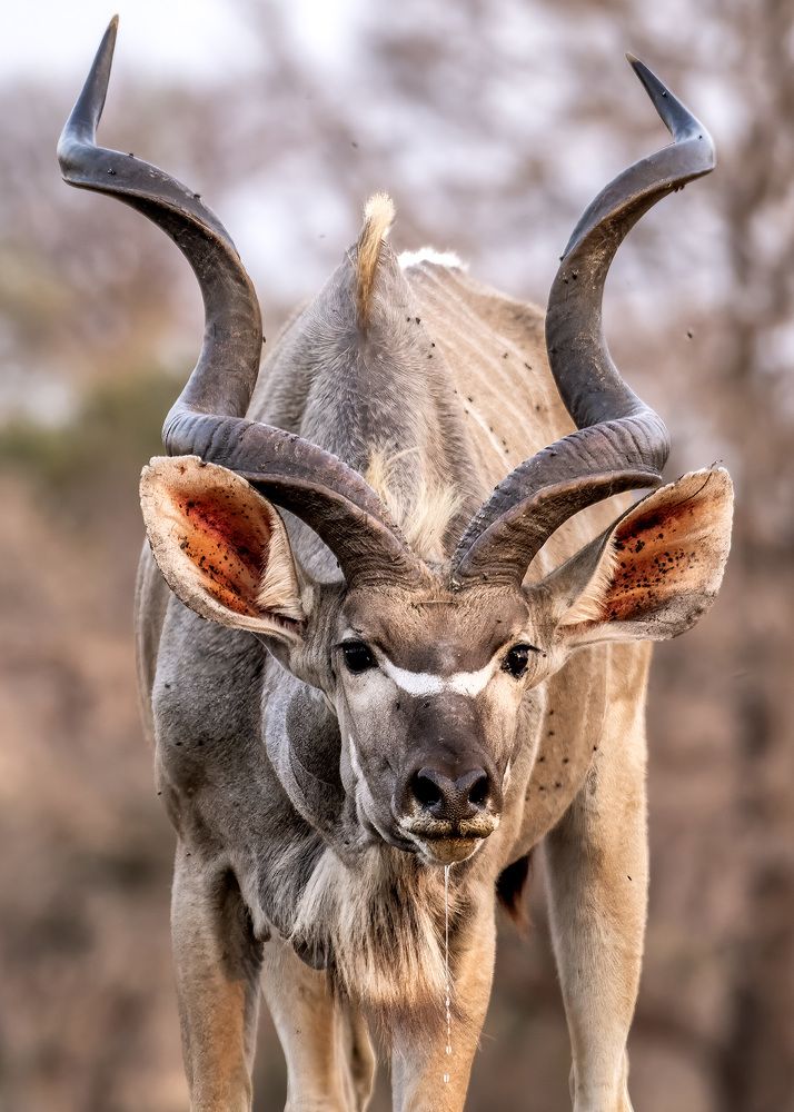 Фотография автора Rose-Anne Reyes