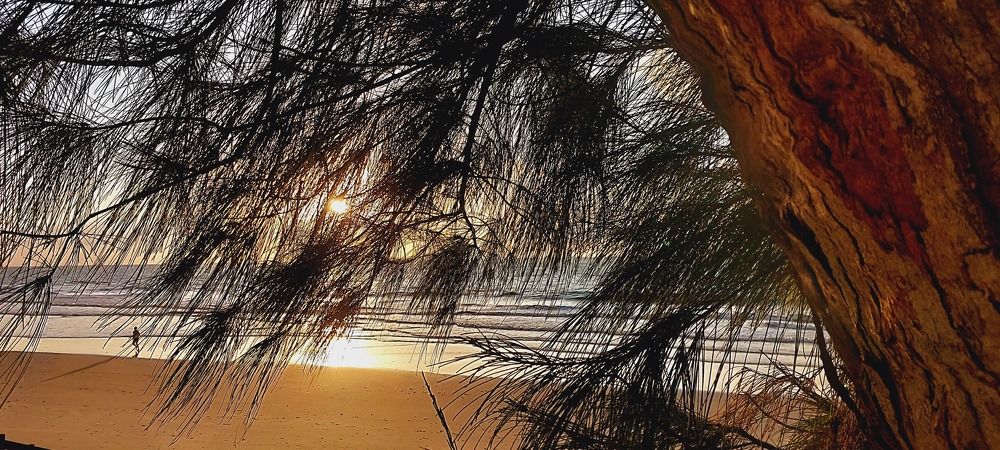 Photograph by CRINALDO REIS