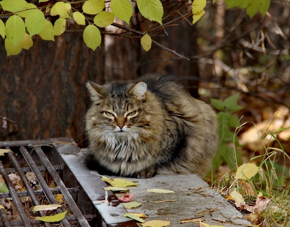 Photograph by Светлана Булыгина