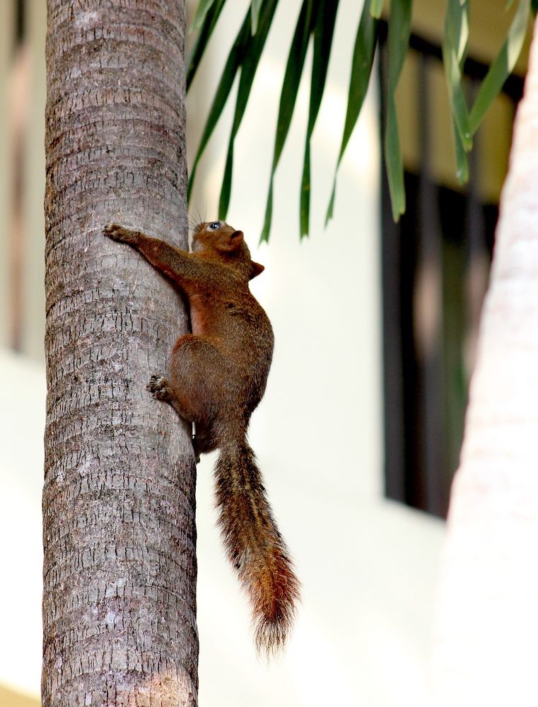 Photograph by Светлана Булыгина