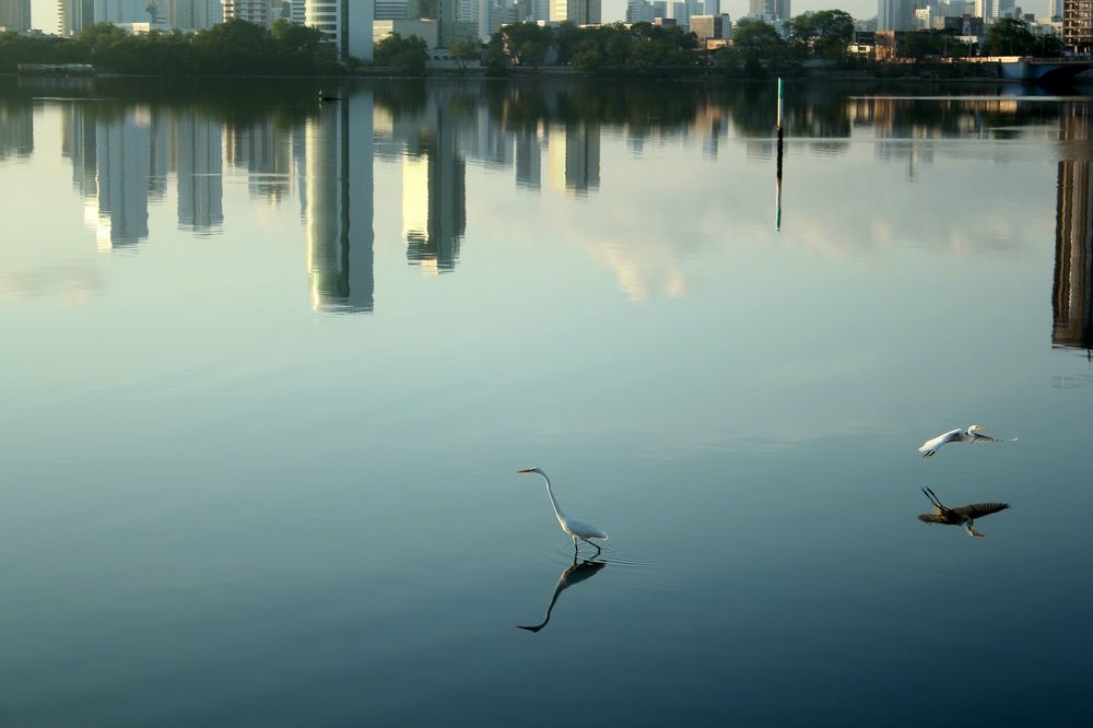 Photograph by CRINALDO REIS