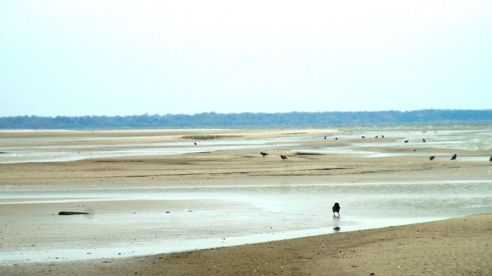 Photograph by Igors Rostikovs