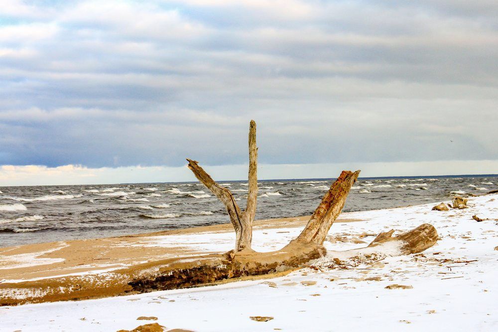 Photograph by Igors Rostikovs