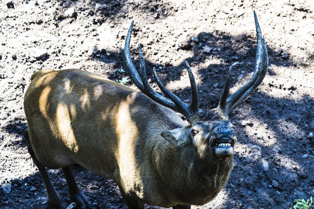 Photograph by Sergey Tsubanov