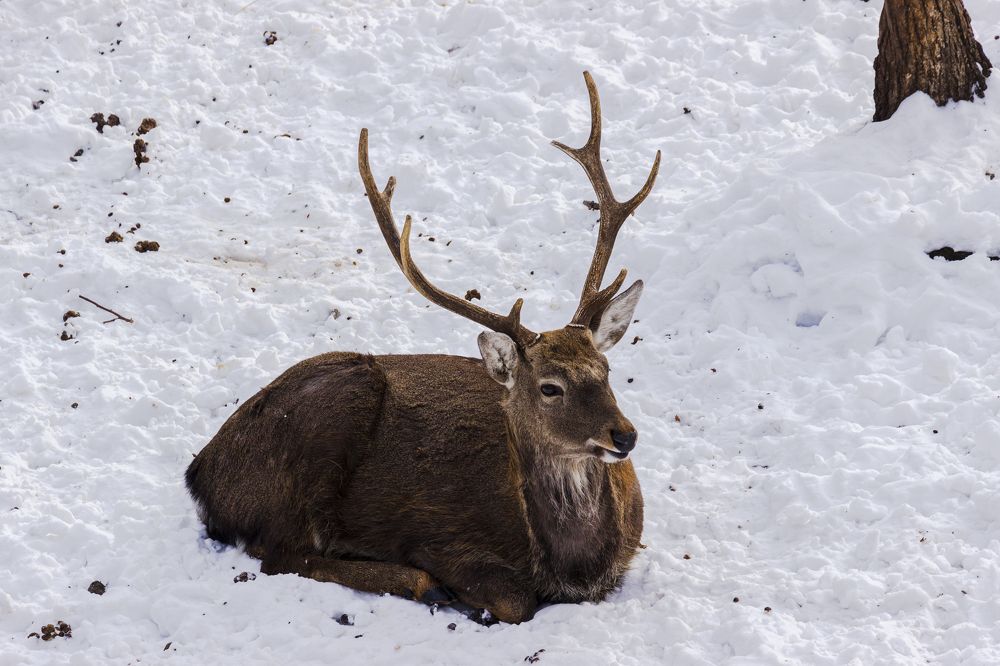 Photograph by Sergey Tsubanov