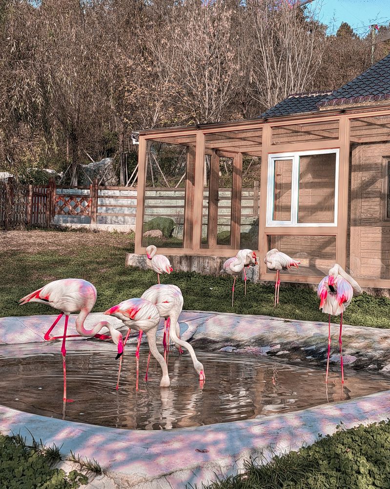 Photograph by Оксана Юдина