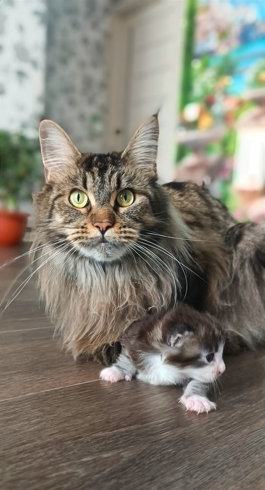 Photograph by Ульяна Северинова