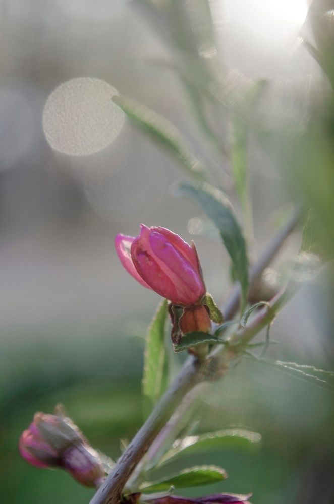 Photograph by Любовь Бусова