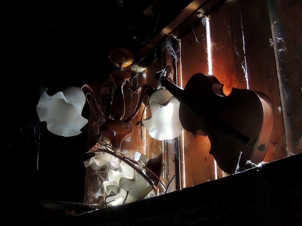 Photograph by Савоцкий Роман