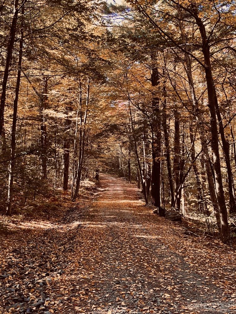 Фотография автора Olga Andriuc