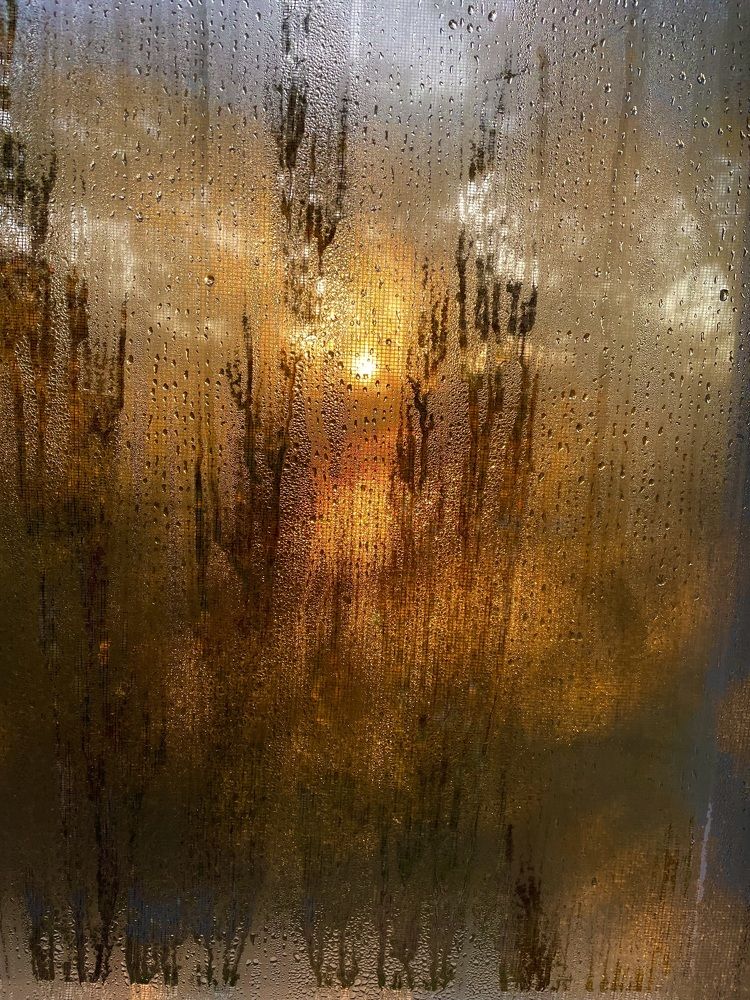 Фотография автора Olga Andriuc