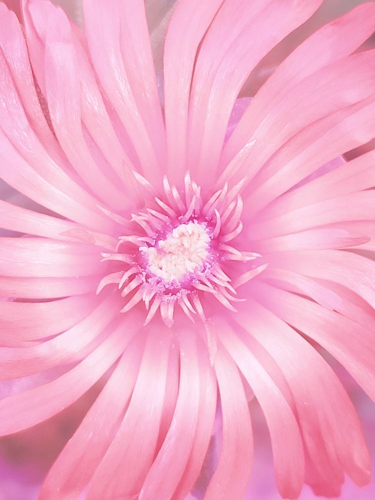 Photograph by Kirsteen Isles