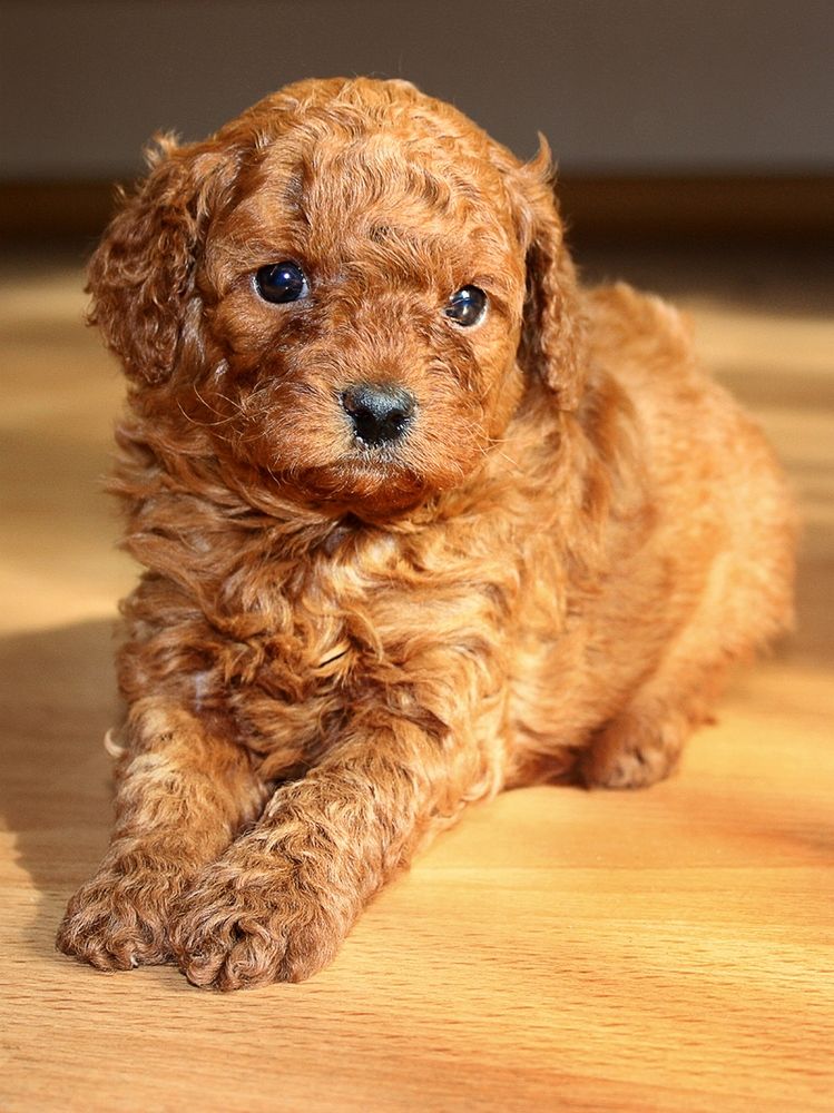 Photograph by виктор ковчин