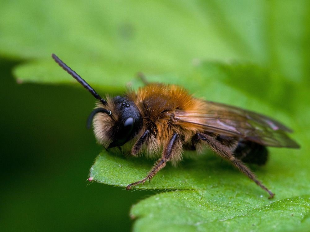 Photograph by Николай