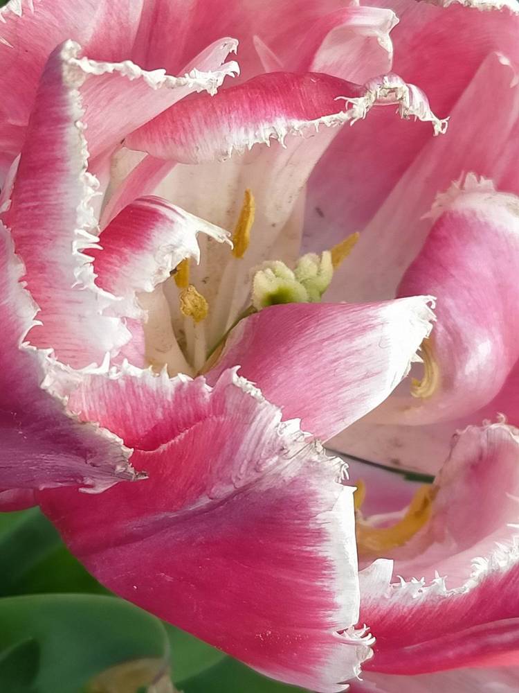 Photograph by Kirsteen Isles