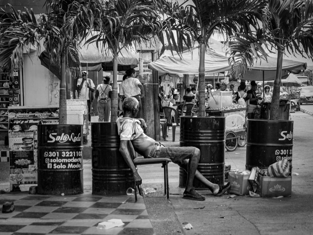 Welcome to the jungle