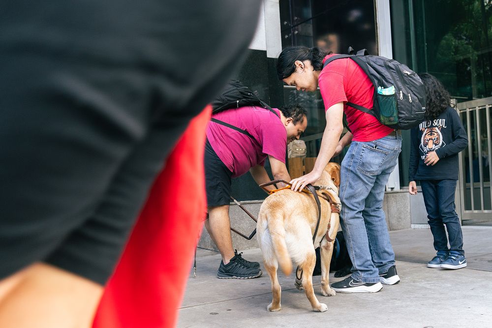 Photograph by Darwin Boaventura