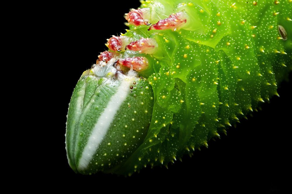 Photograph by Tran Anh Tuan