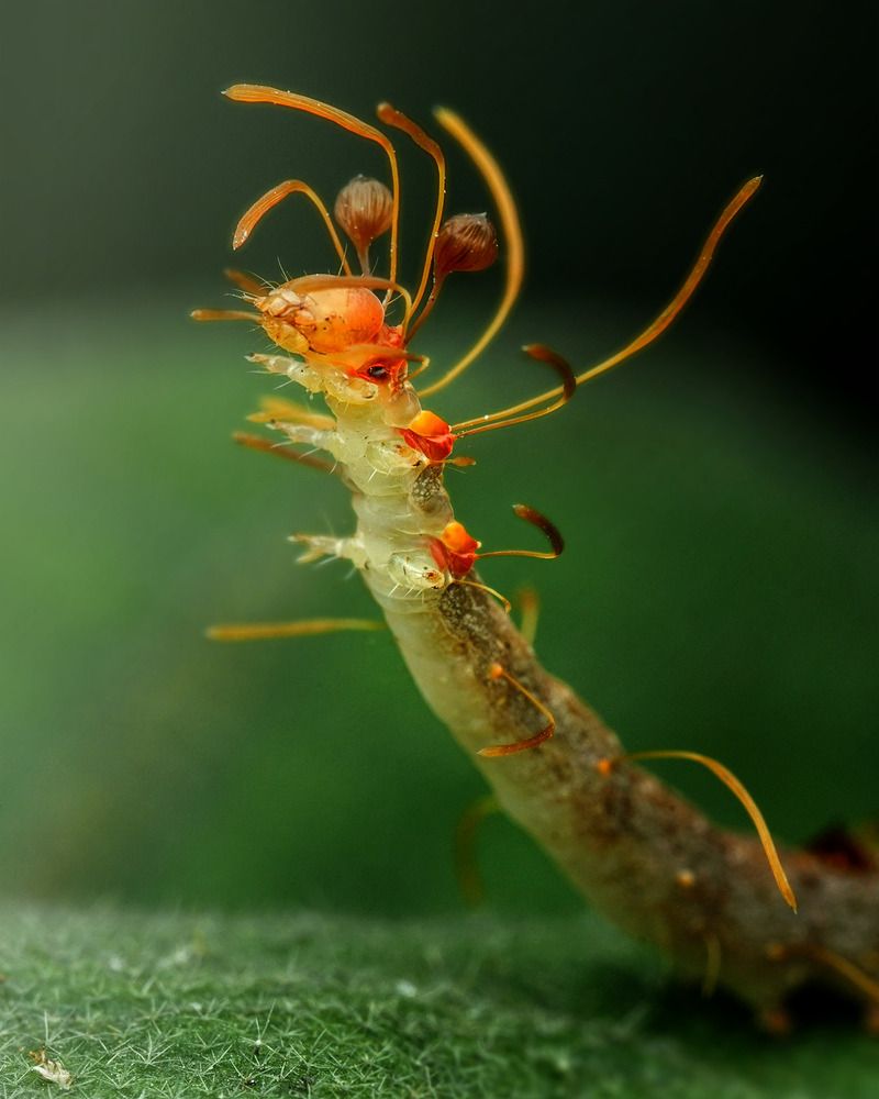 Photograph by Tran Anh Tuan