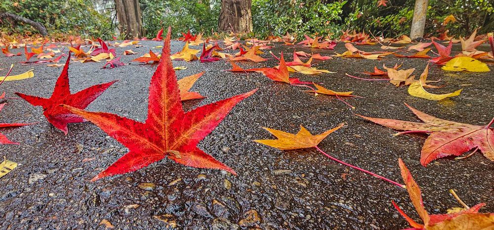 Photograph by mikhail goryachev