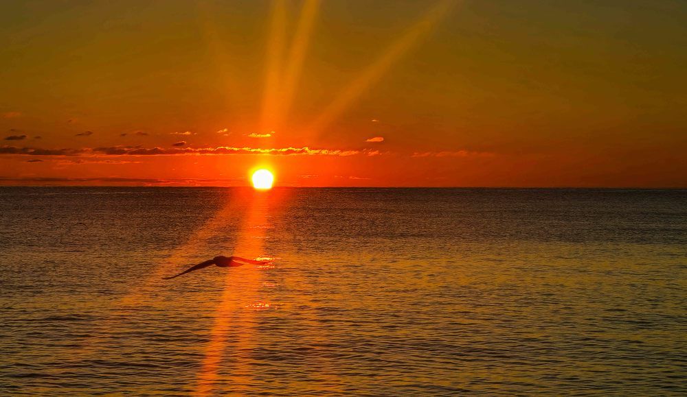 Photograph by mikhail goryachev