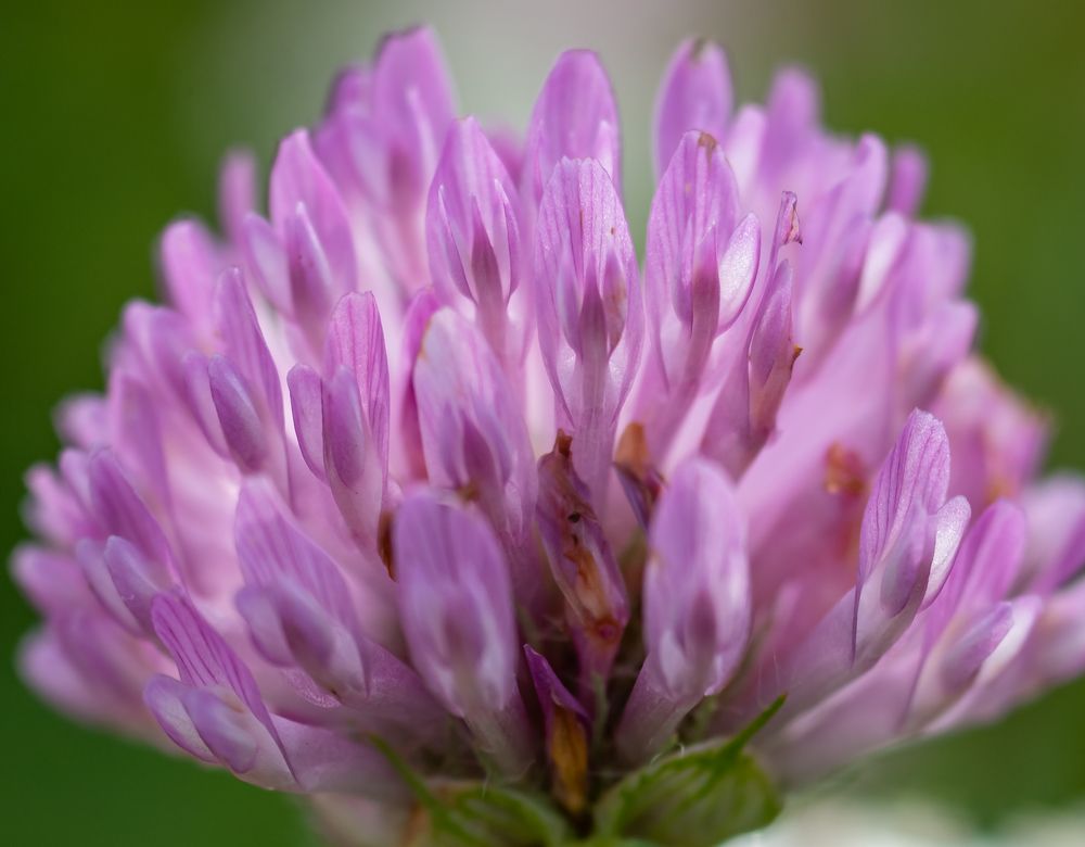 Photograph by Irina Luidinshina