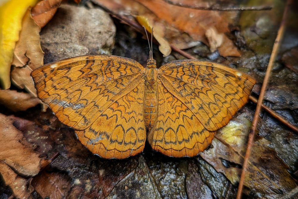 Photograph by SARAVANA MANICKAM