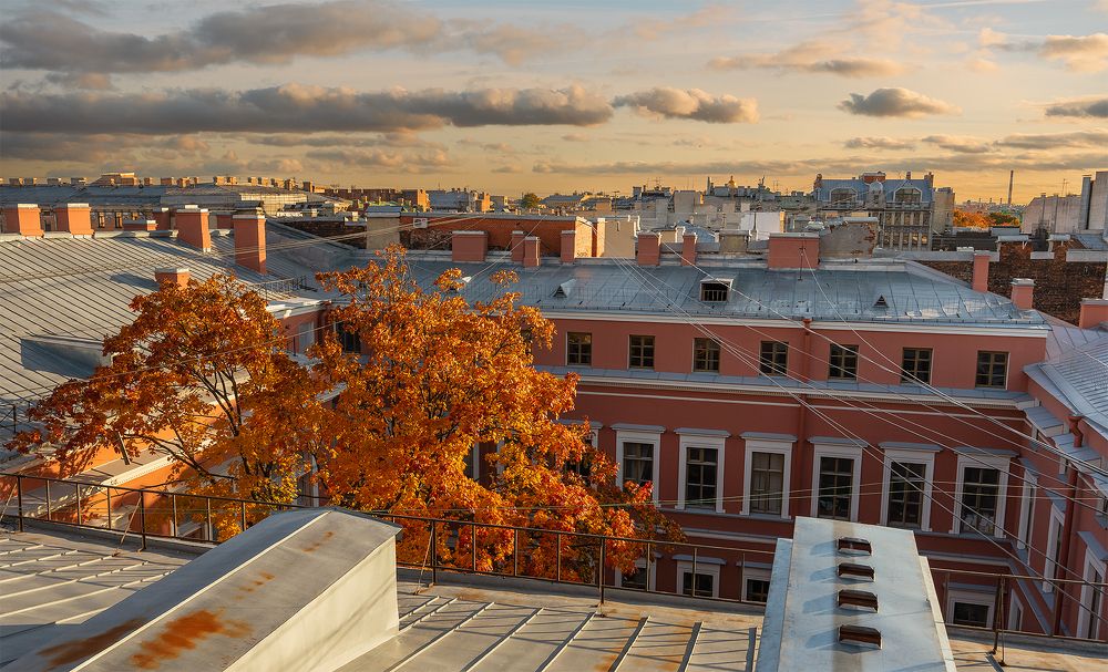 Фотография автора Ушаков Николай