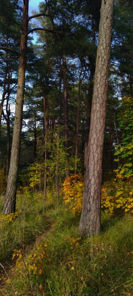 Photograph by Александр Соколов