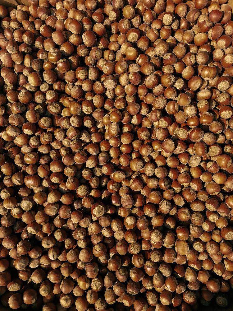 Photograph by Юлия Шмакотина