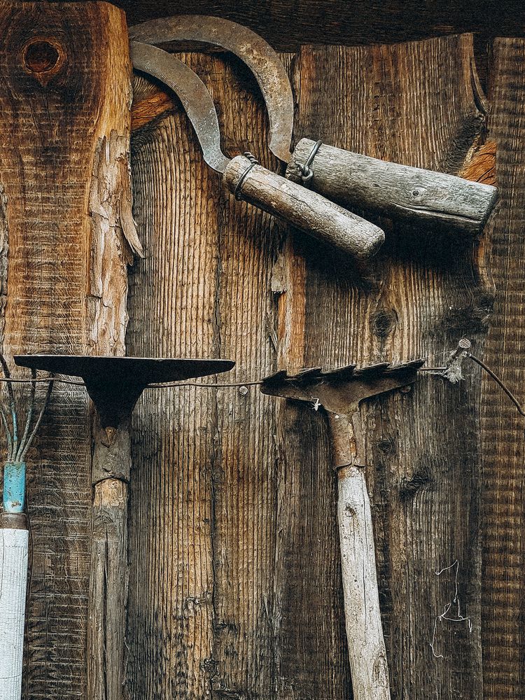 Photograph by Юлия Шмакотина