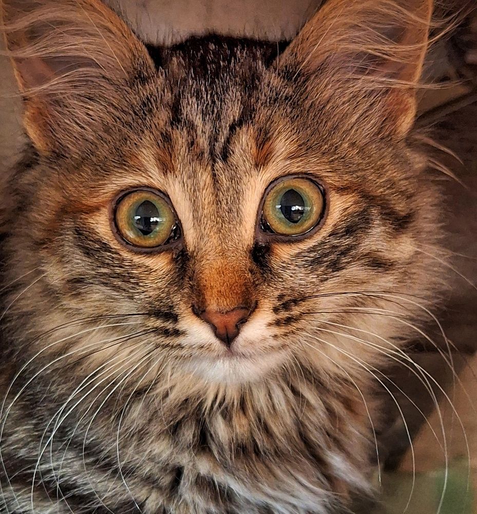 Photograph by Марина Мальцева