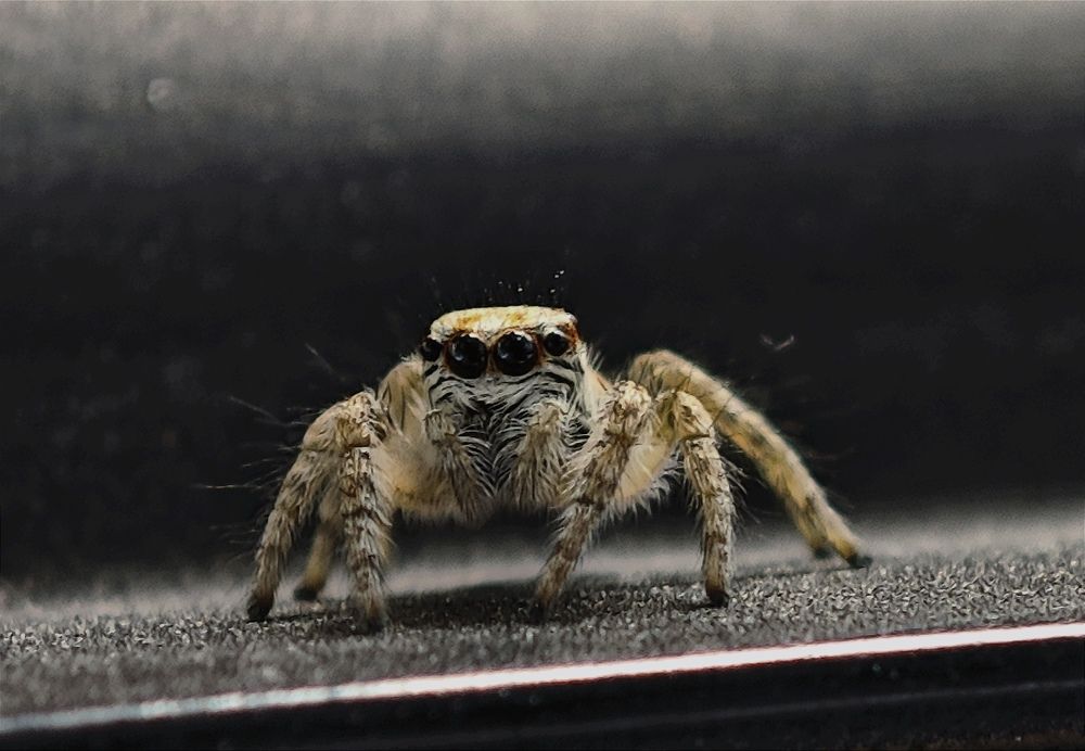 Photograph by Анна Курлова