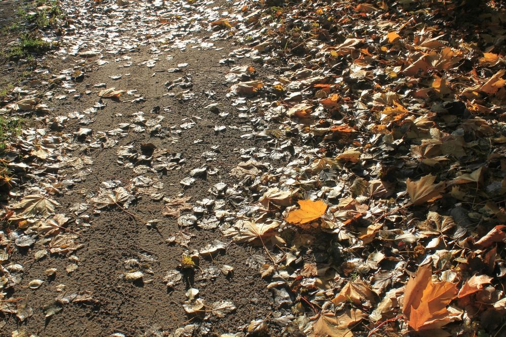 Photograph by Olga Bagaeva