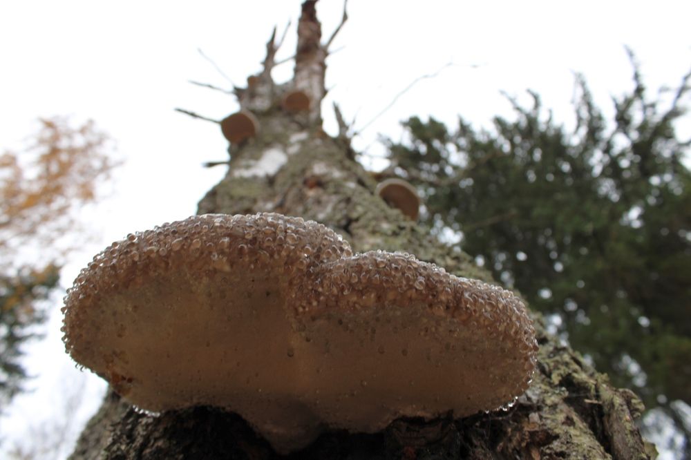 Photograph by Olga Bagaeva