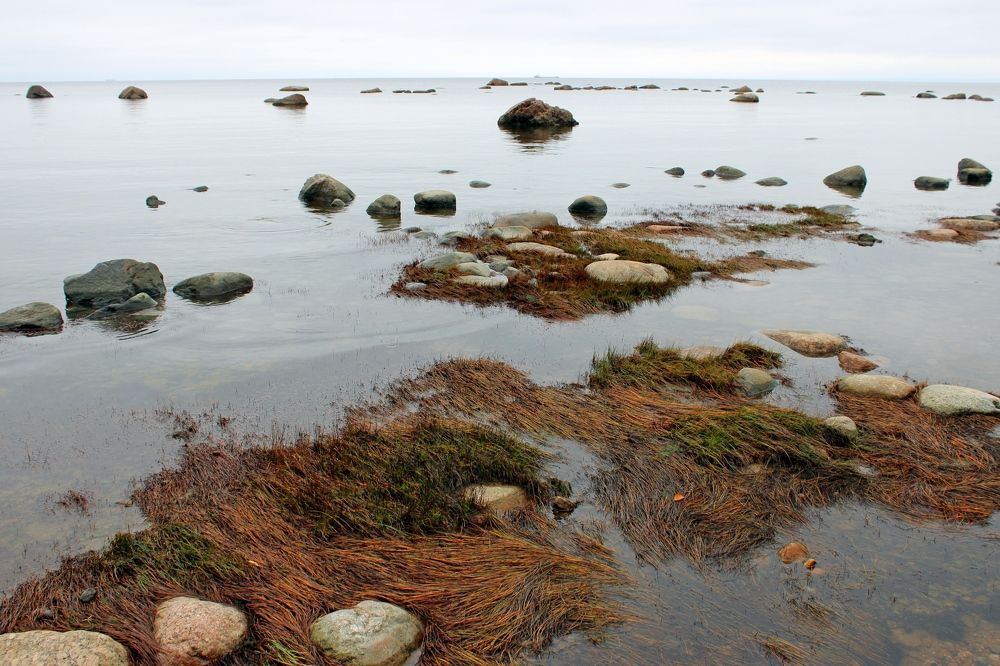 Photograph by Olga Bagaeva