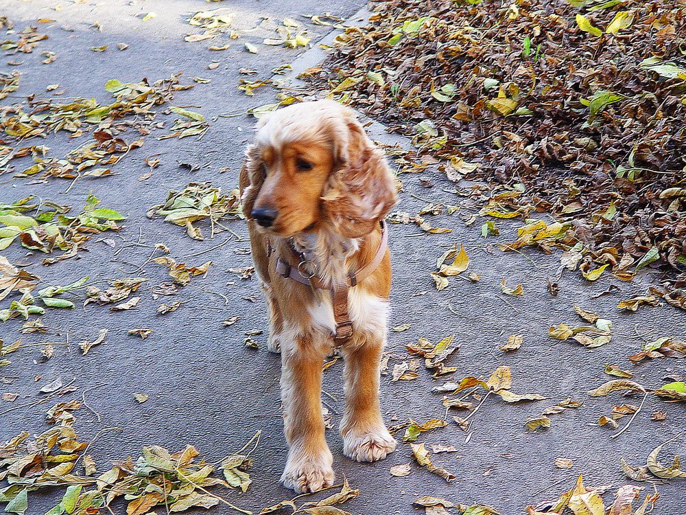 Фотография автора Всеволод