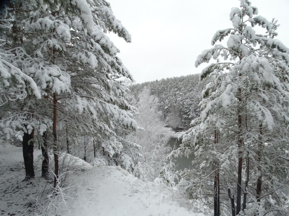 Photograph by Александр Подгорный