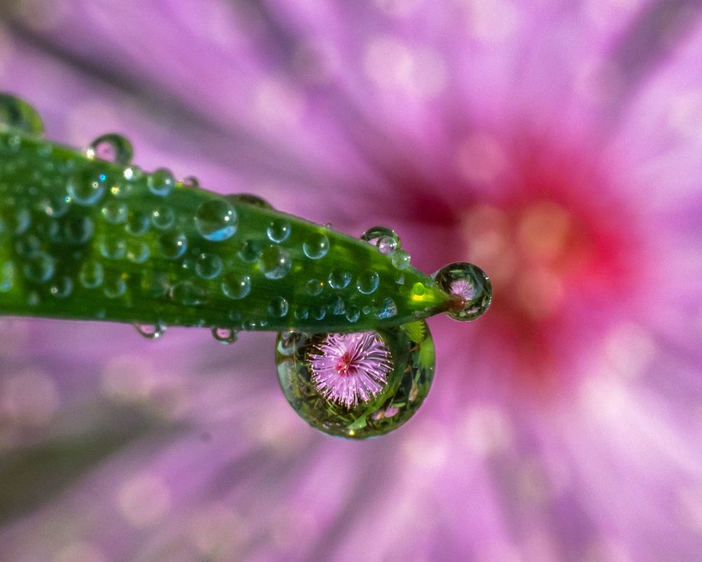 Photograph by Rachana madhav