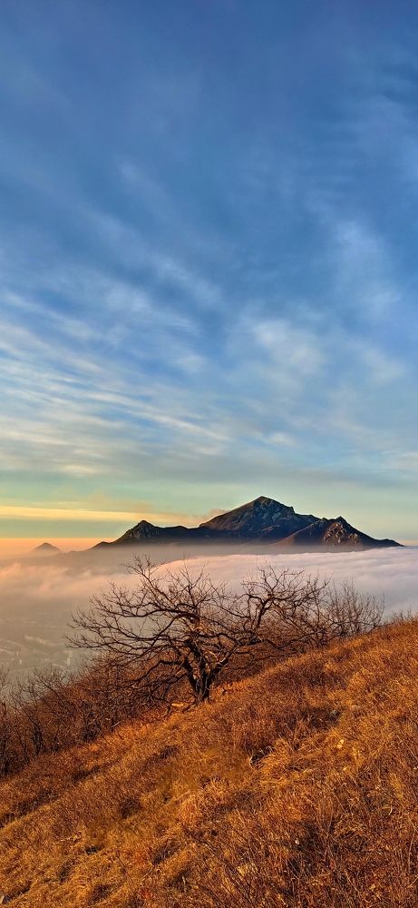 Photograph by Олег Карданов