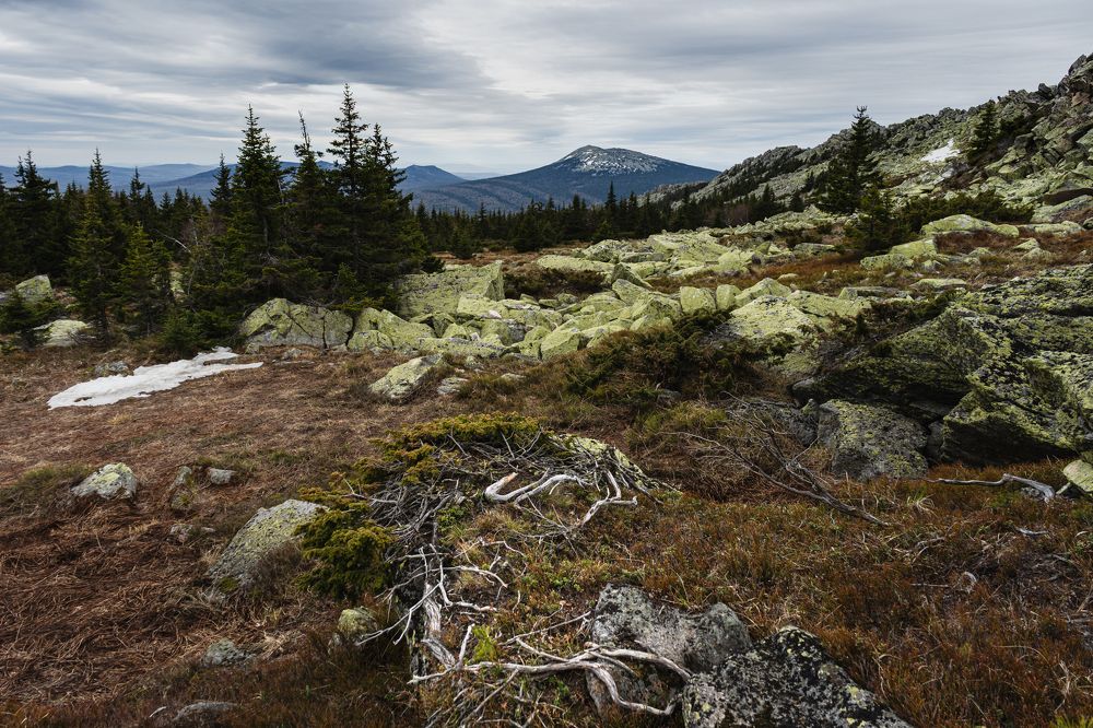 Весна в тундре