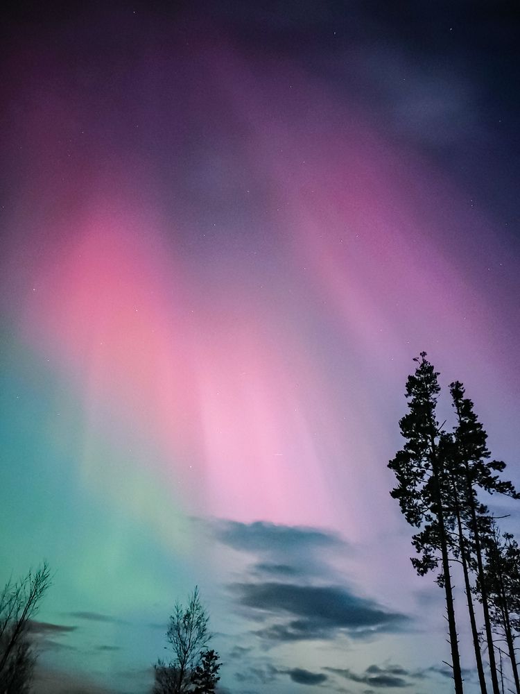 Photograph by Карина Заводчикова